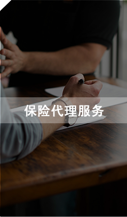 保险代理服务